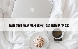 临清昆虫网站高清照片素材（昆虫图片下载）